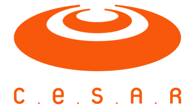 Parceiro CESAR